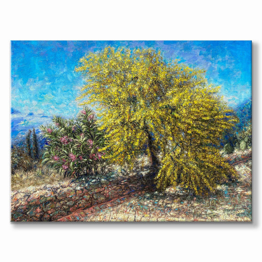 Original Painting: Blooming Acacia Tree in Tzikides Aegina