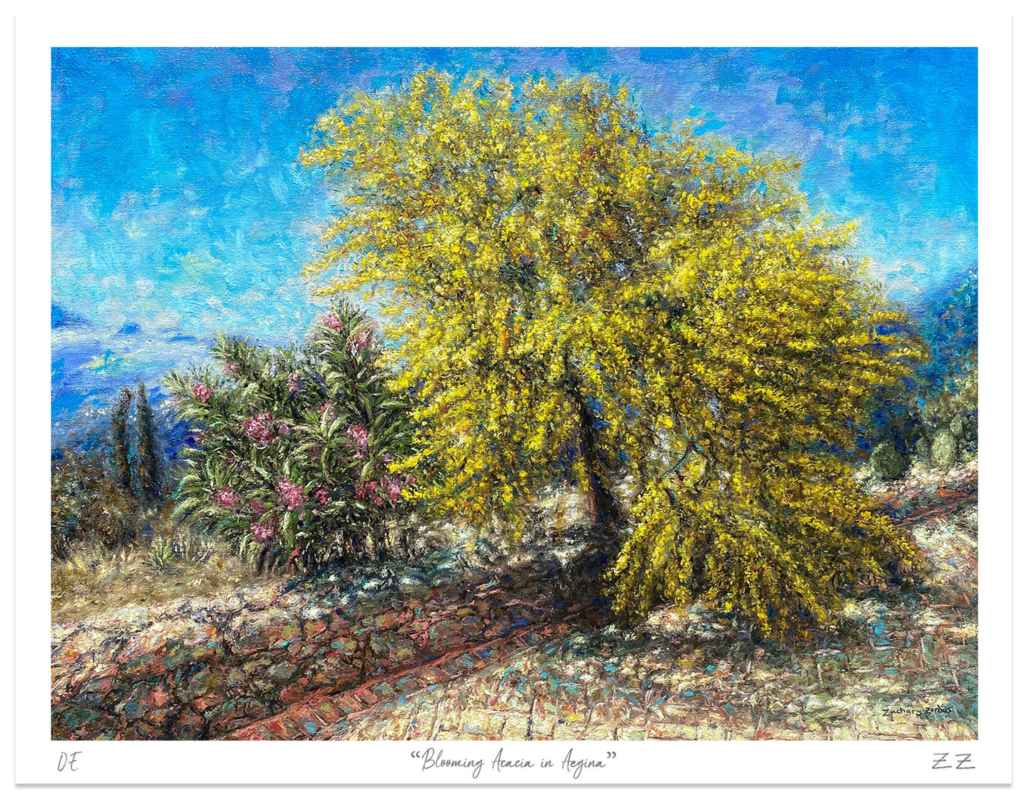 Art Print: Acacia Tree Blooming at Home, Tzikides