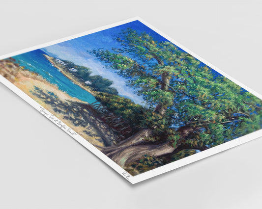 Art Print: Juniper Tree at Horeftra Beach