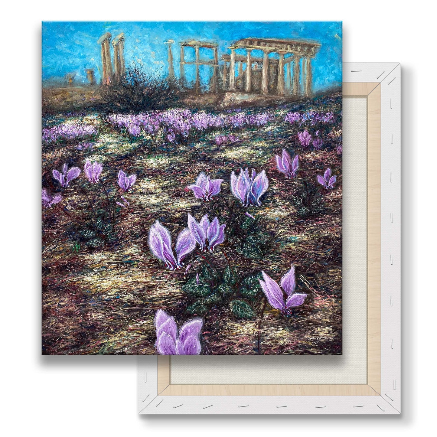 Canvas Print: Cyclamen Flowers at Afaia's Temple