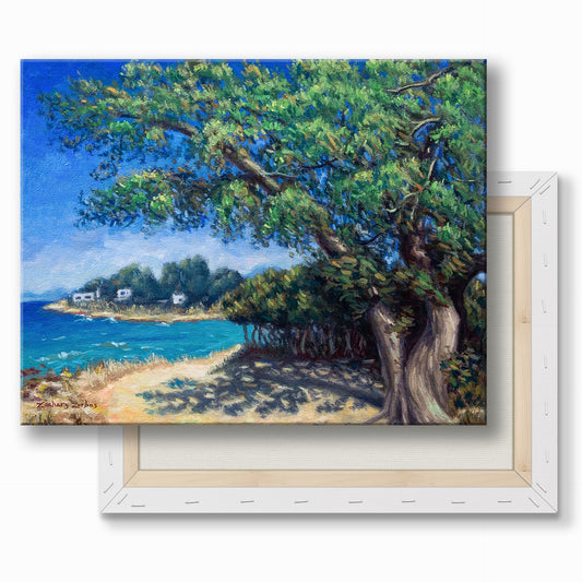 Canvas Print: Juniper Tree at Horeftra Beach