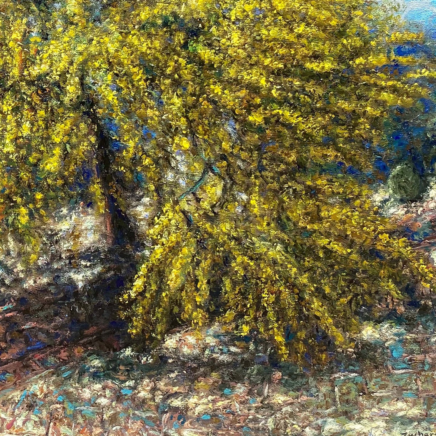 Art Print: Acacia Tree Blooming at Home, Tzikides