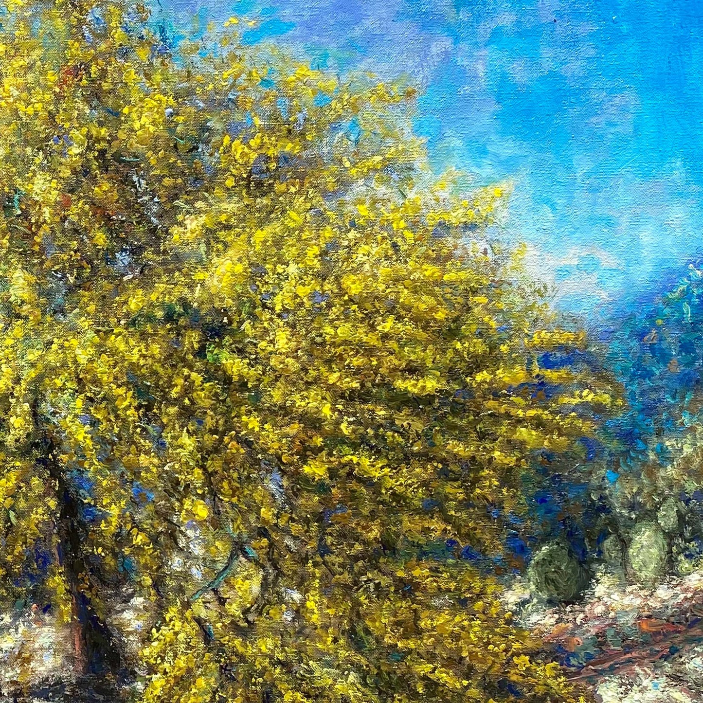 Art Print: Acacia Tree Blooming at Home, Tzikides
