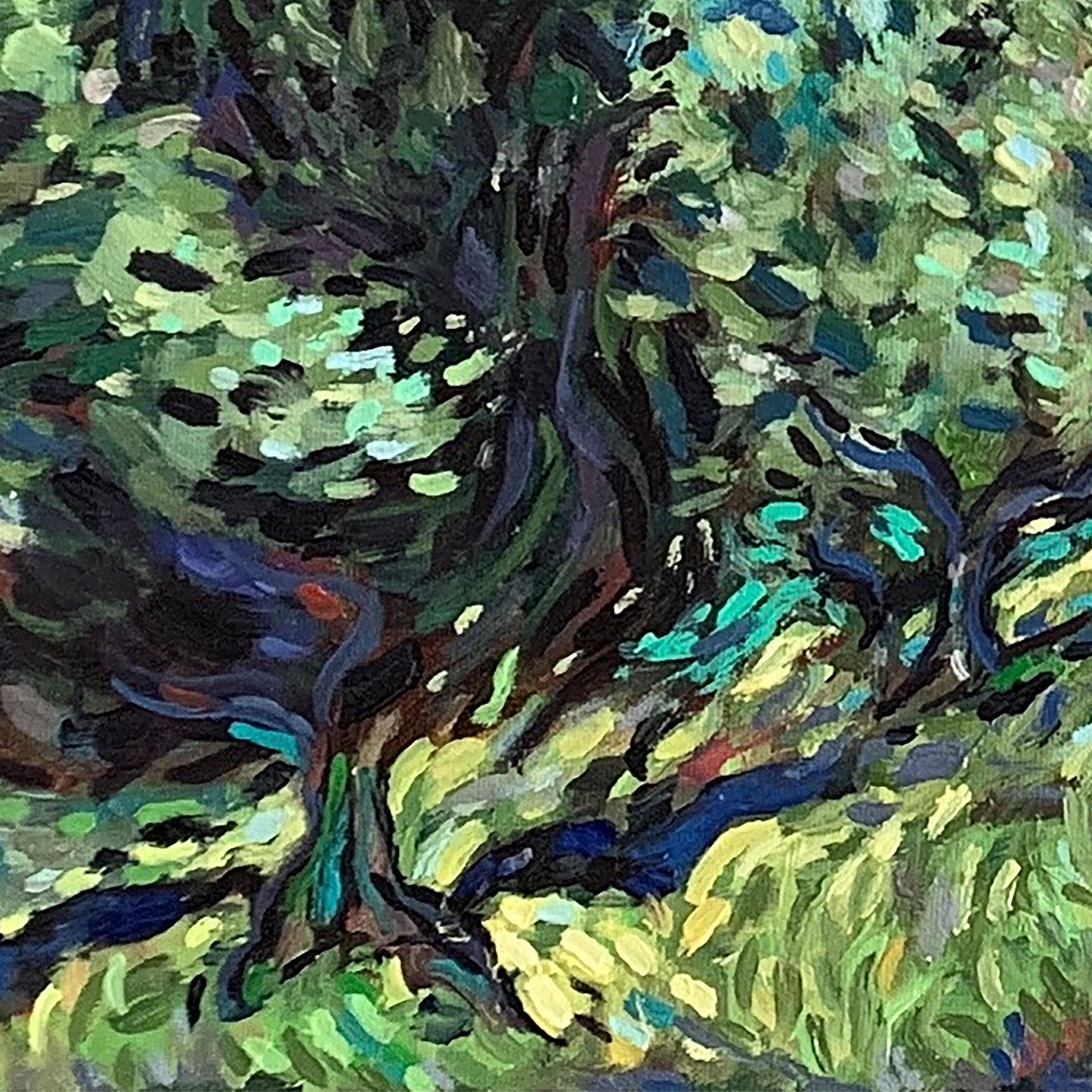 Εκτύπωση σε καμβά: Ελιές στην Κέρκυρα