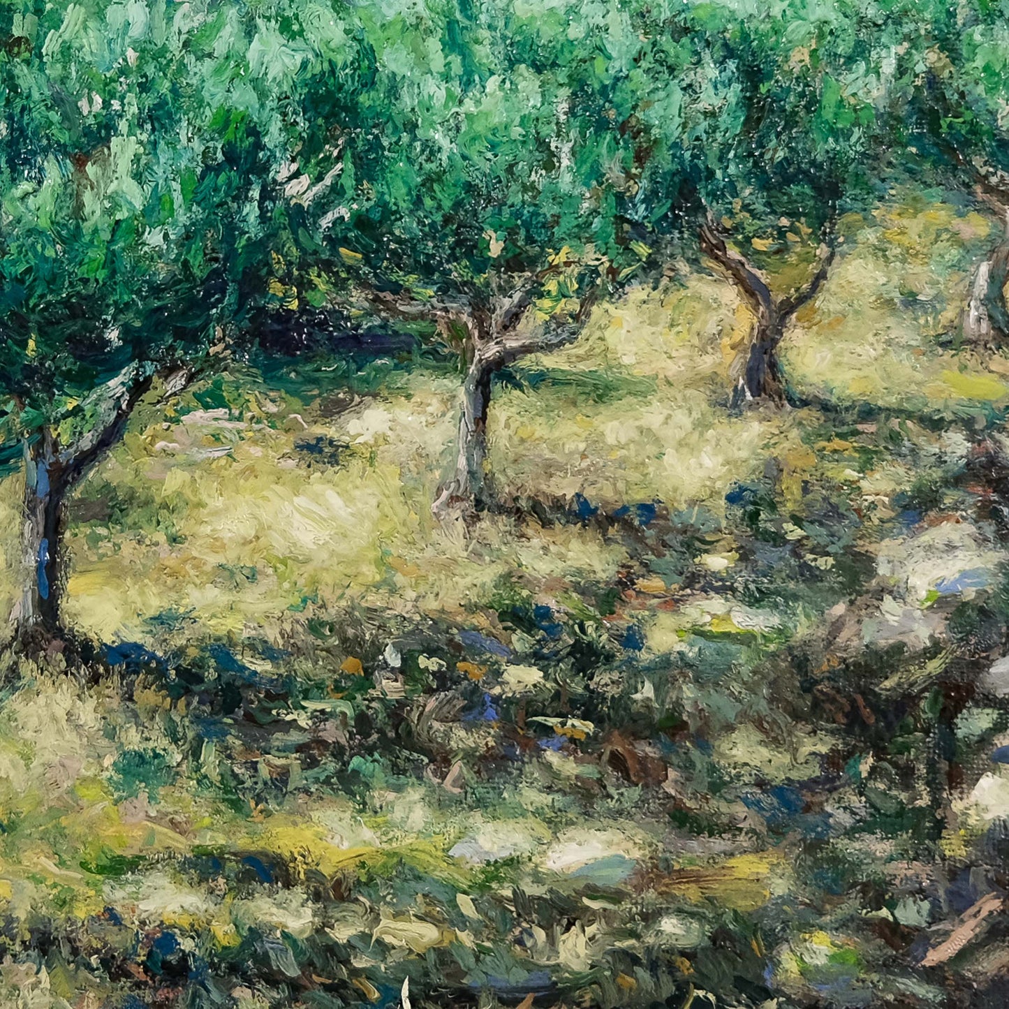 Canvas Print: Walking in the Olive Grove with Toby