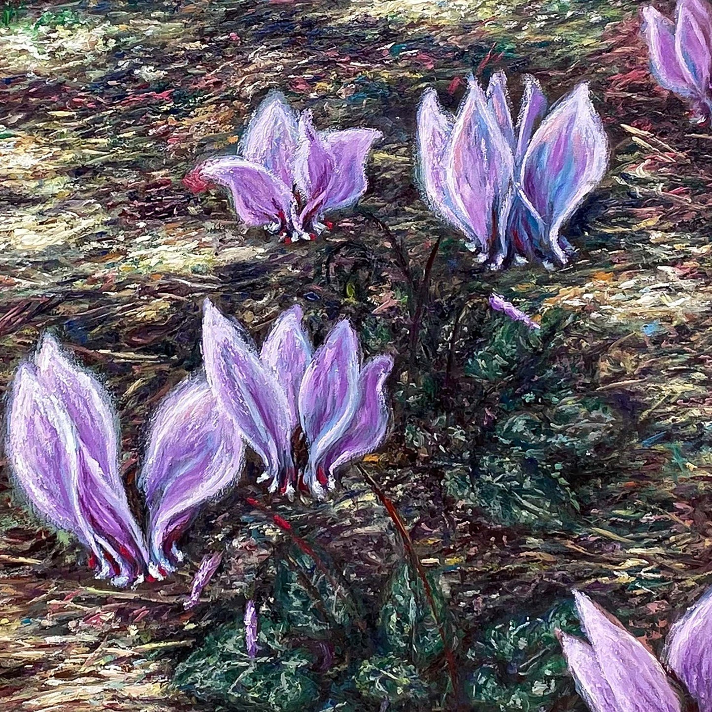 Canvas Print: Cyclamen Flowers at Afaia's Temple