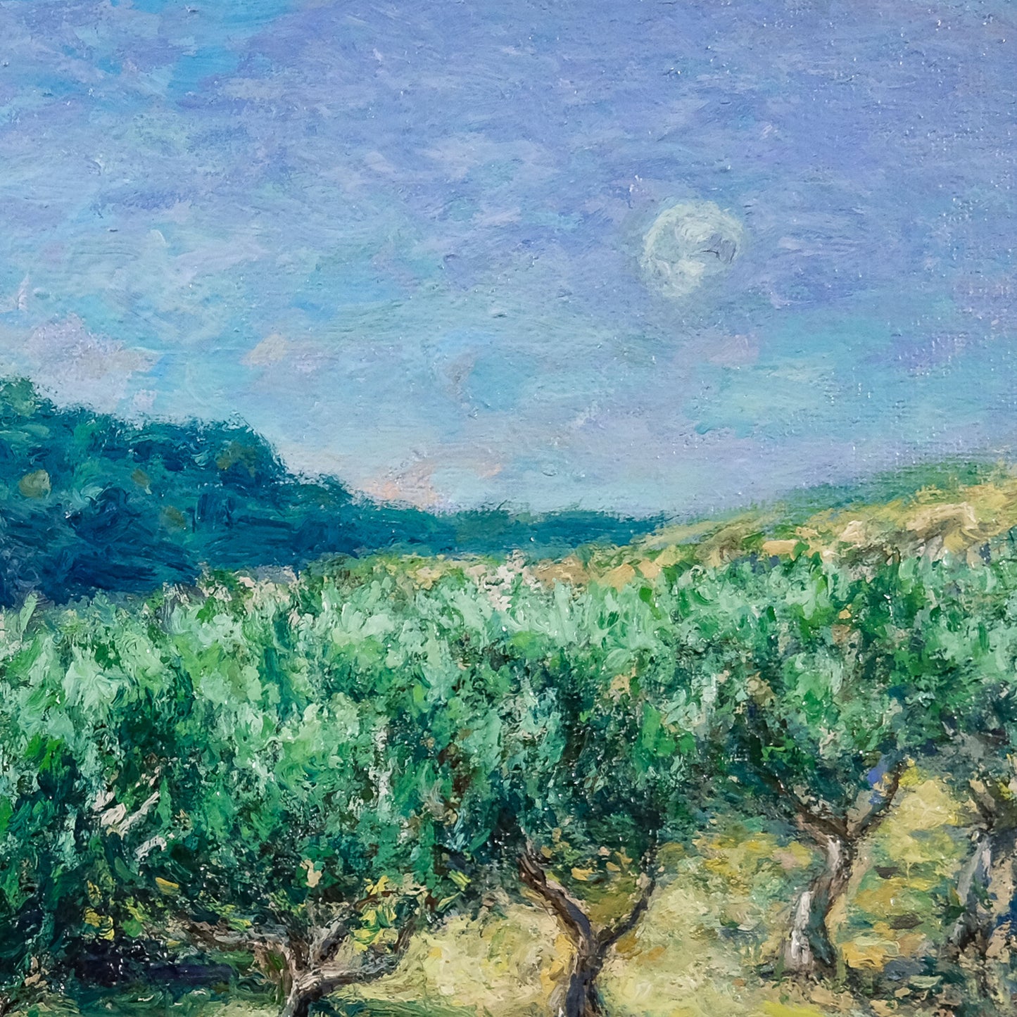 Canvas Print: Walking in the Olive Grove with Toby