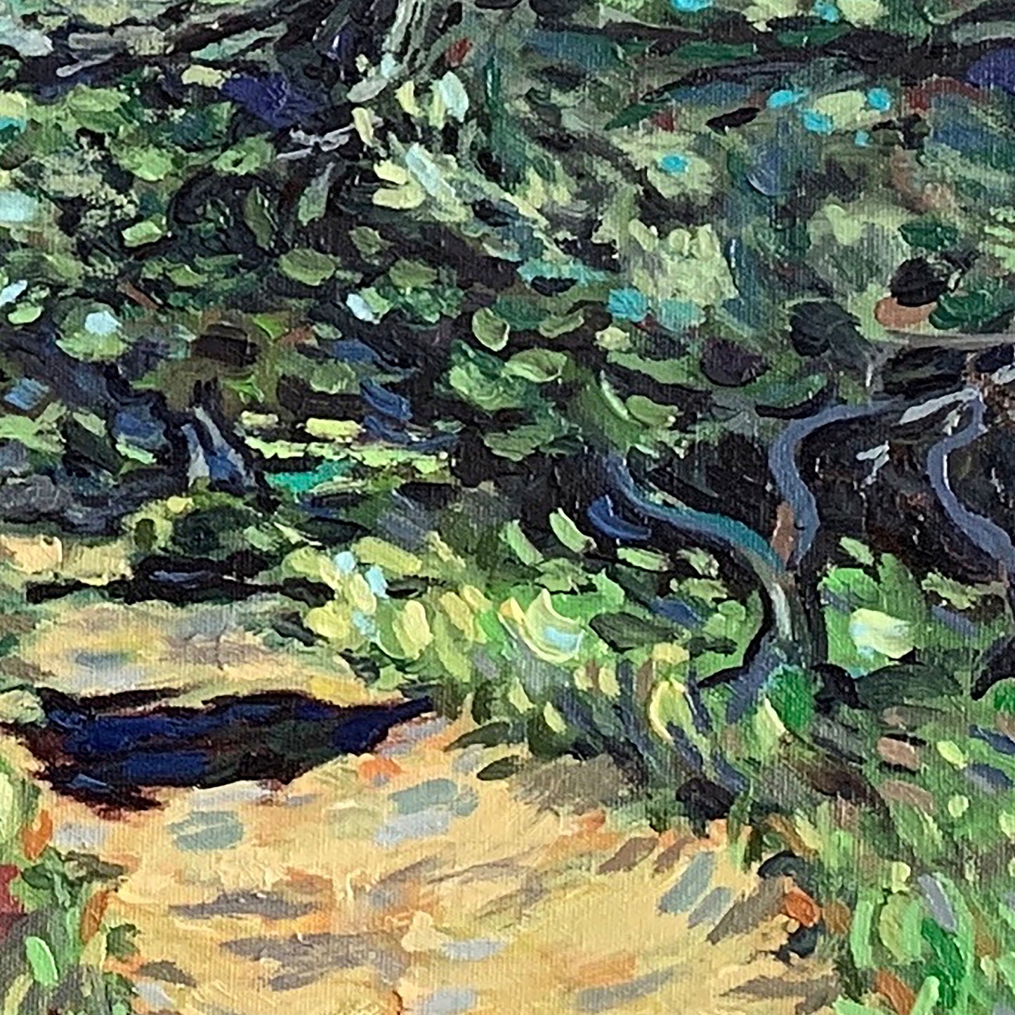 Εκτύπωση σε καμβά: Ελιές στην Κέρκυρα