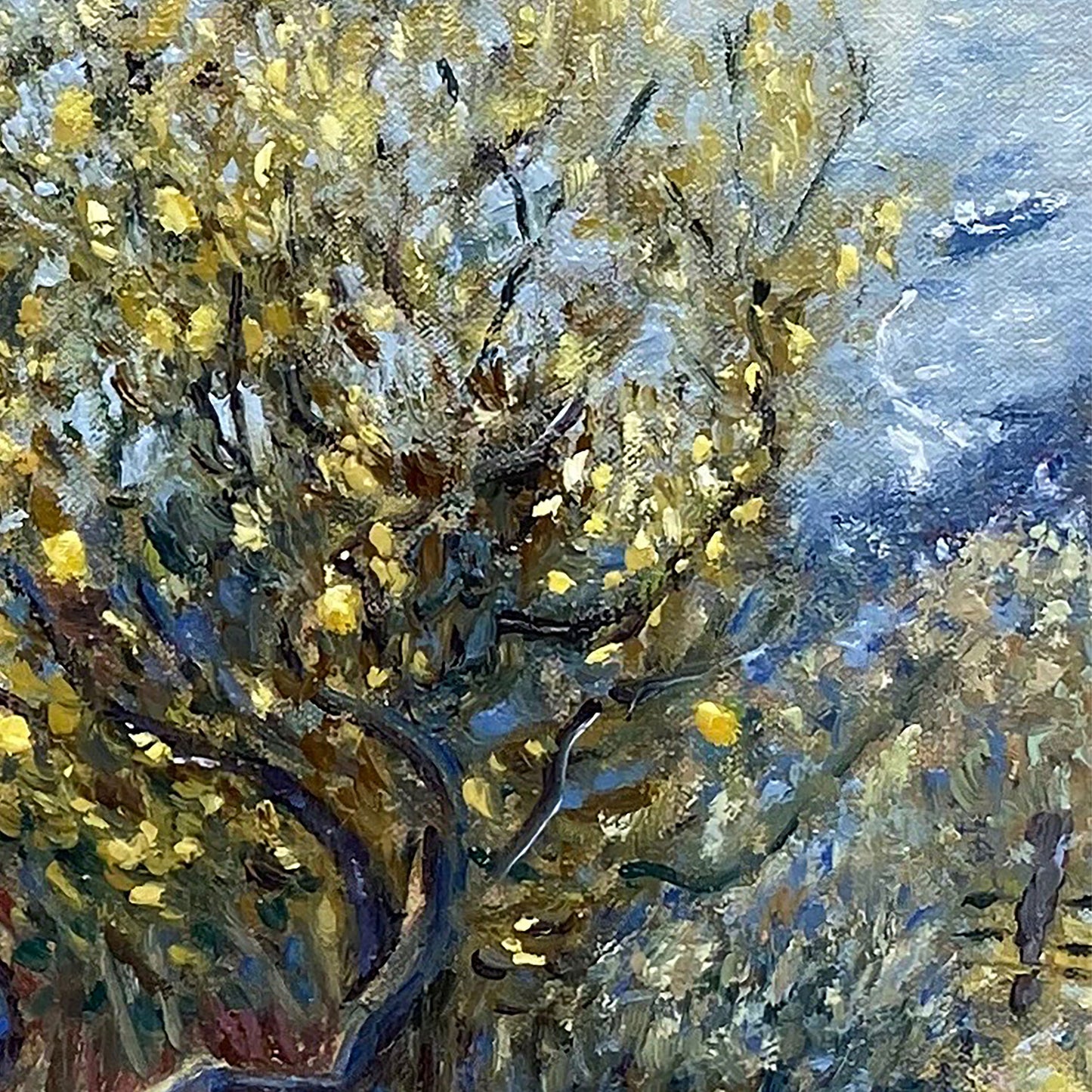 Art Print: Lemon Tree in Aegina