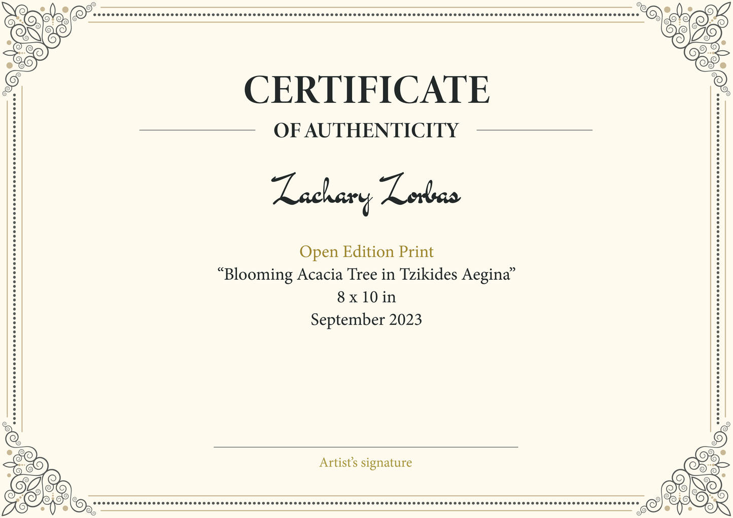 Canvas Print: Acacia Tree in Bloom