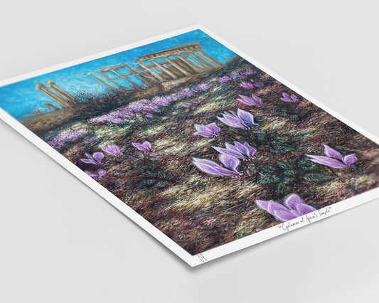 Εκτύπωση τέχνης: Άνθη κυκλάμινων στον ναό της Αφαίας