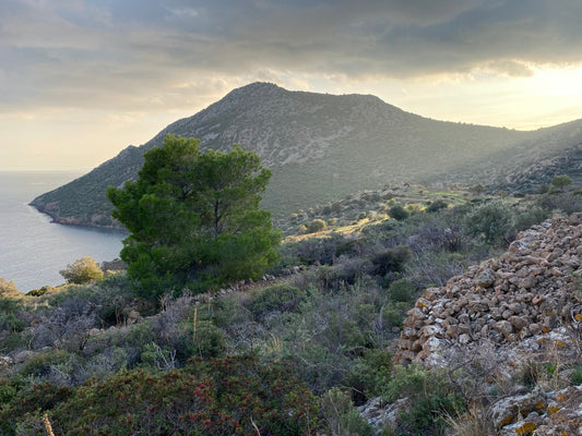 Exploring Kanakides Village in Aegina