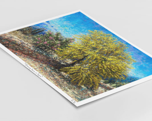 Art Print: Acacia Tree Blooming at Home, Tzikides